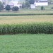 Victoria Strasburg Photo 6