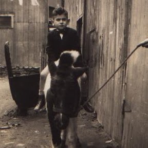 Claude Rodgers Photo 15
