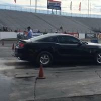 Steven Ferrante Photo 18