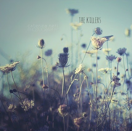 Jenny Field Photo 25