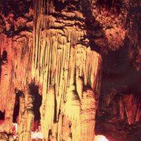 Tinh Le Photo 18