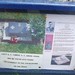 Mary Wingate Photo 13