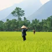 Toan Trinh Photo 11