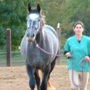Suzanne Green Photo 42