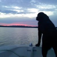 Chad Simmons Photo 14