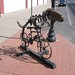 David Roby Photo 41