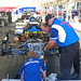 Tracy Crews Photo 35