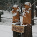 Marilyn Stump Photo 10