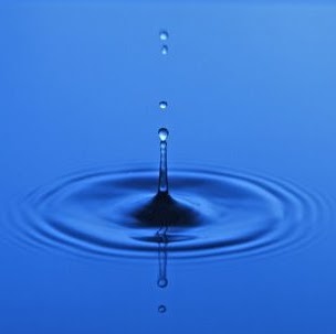 Seth Kim Photo 21