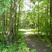 Marilyn Rowe Photo 15