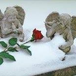 Debra Mescher Photo 4