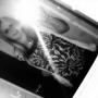 Tiffany Shepherd Photo 26