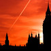 Ben Sun Photo 23