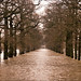 Carl Lane Photo 11