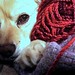 Eileen Green Photo 14