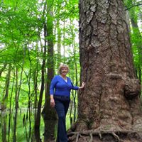 Debbie James Photo 38
