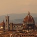 Maria Fiore Photo 6