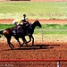 Anthony Downs Photo 20