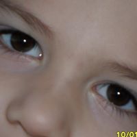 Robert Matlock Photo 16