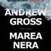 Andrew Gross Photo 43