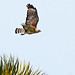 Sandra Hawks Photo 9