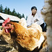 Cheng Kim Photo 13