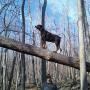 Renee Adams Photo 20