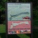Thomas Walker Photo 26