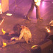 Lawrence Fallon Photo 4