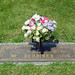Tammy Reed Photo 46
