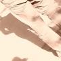 Robert Doty Photo 29