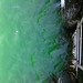Jeff Simonson Photo 7