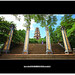 Linh Mach Photo 14