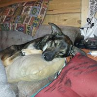 Christopher Hendrickson Photo 16