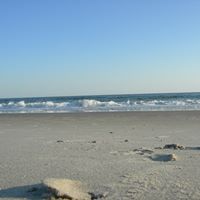 Debra Rogers Photo 23