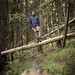 Stephen Forrest Photo 8