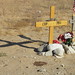 James Schultz Photo 25