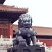 Ming Fu Photo 27