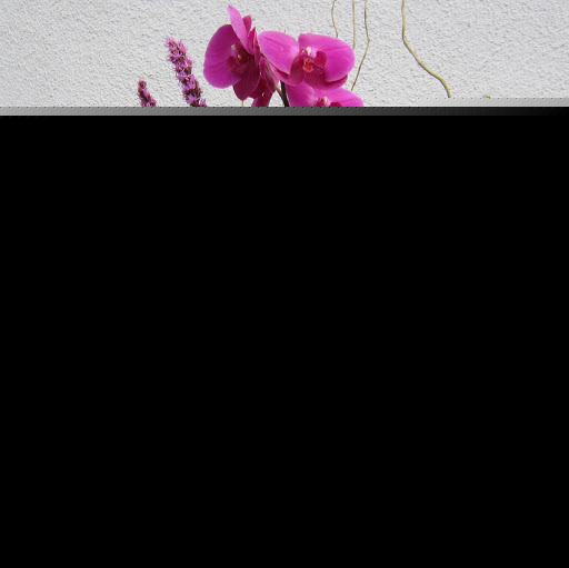 Yong Kwon Photo 13