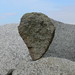 Terry Robison Photo 32