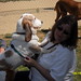 Cindy Dexter Photo 9