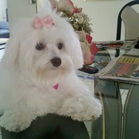 Wilma Colon Photo 27