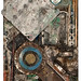 Merrick Brown Photo 26