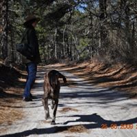 Ann Delp Photo 11