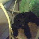 Delores Martin Photo 7