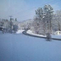 Shane Tibbits Photo 8