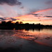Debbie Cooley Photo 31