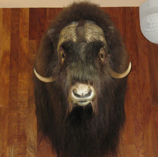 Fred Wyckoff Photo 8