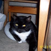 Maryann Allen Photo 10