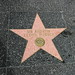Andrew Webber Photo 12